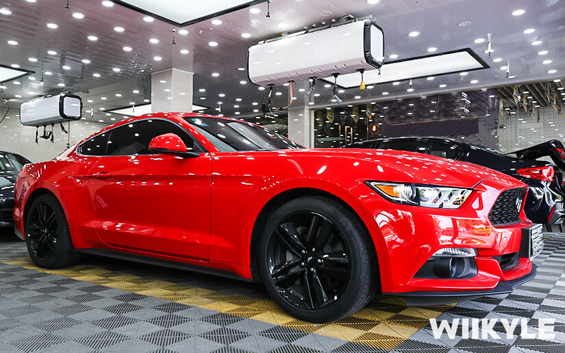 福特施工WIIKYLE漆面保护膜整车效果图